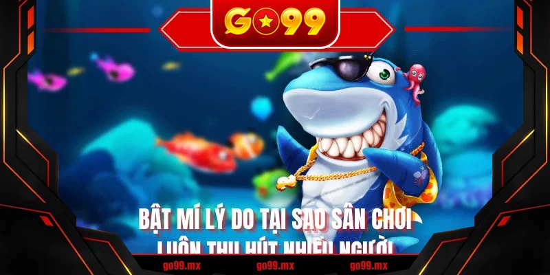 Bật mí lý do tại sao sân chơi luôn thu hút nhiều người